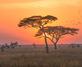 Serengeti National Park